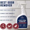 Rocco & Roxie Stain & Odor Eliminator for Strong Odor - Image 2