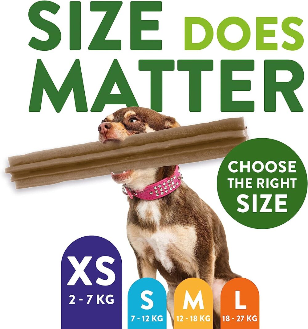 Whimzees Natural Dental Dog Chew, Variety Box Mixed Shapes - Image 3