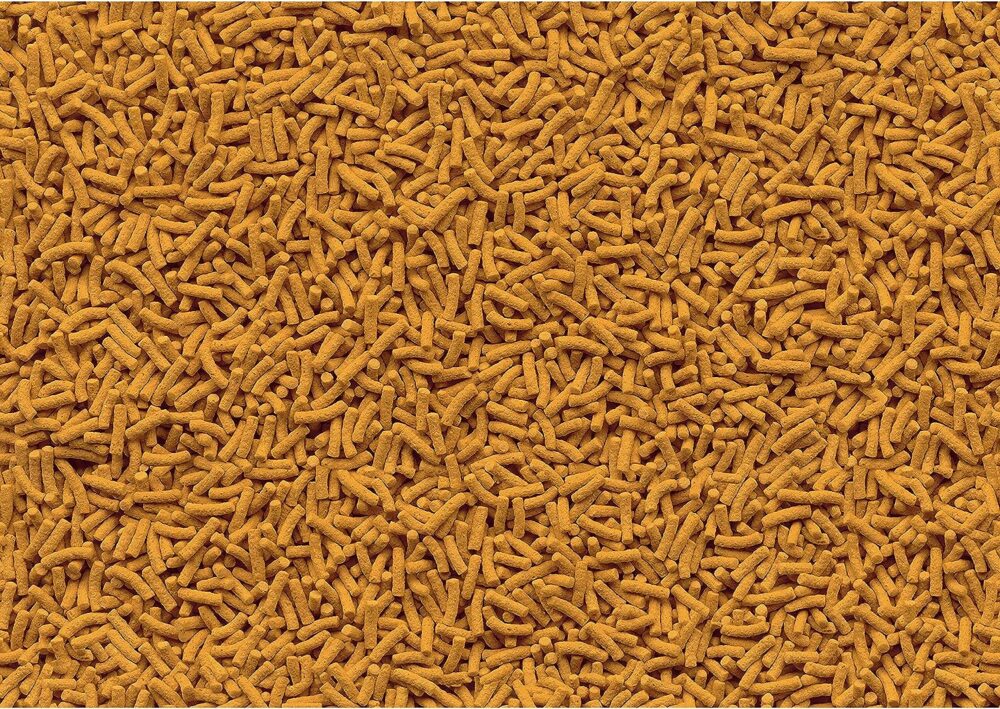 Tetra 16485 Koi Vibrance Sticks Fish Food - Image 3