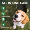 Vet’s Best Dog Toothbrush and Enzymatic Toothpaste Set - Image 2