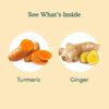VAHDAM Turmeric Ginger Herbal Tea Bags (100 Count) - Image 2