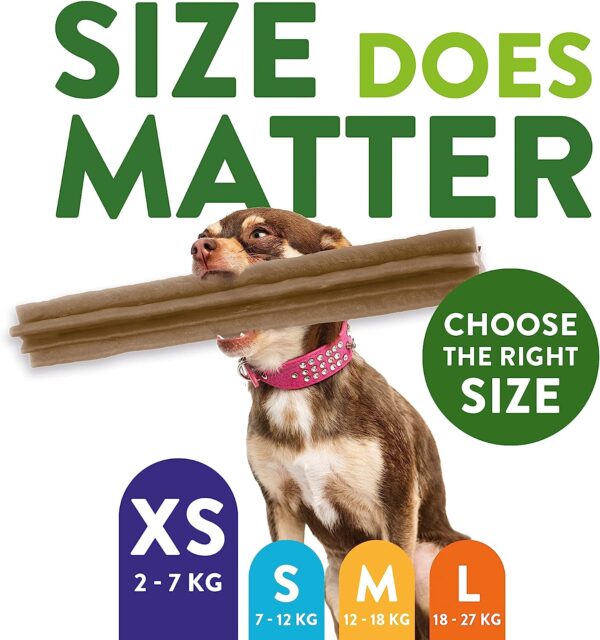 Whimzees Natural Dental Dog Chew, Variety Box Mixed Shapes - Image 3