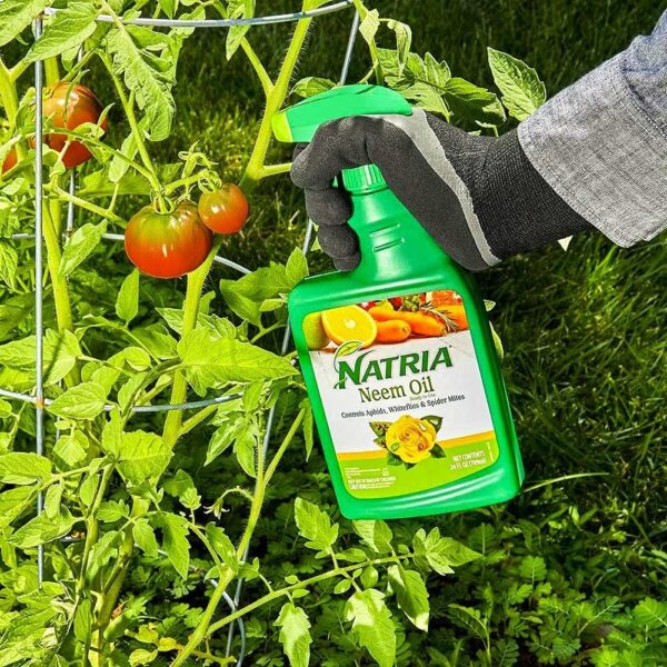 Natria 706250A Neem Oil Spray for Plants Pest Organic Disease Control - Image 2