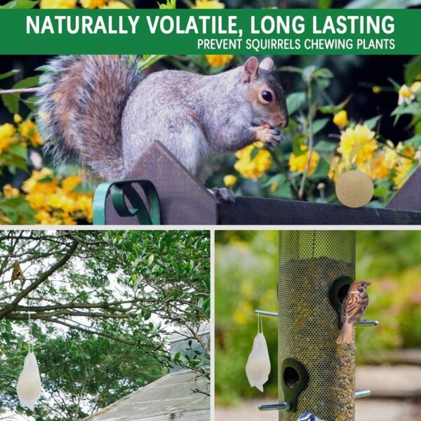 SUAVEC Squirrel Repellent Outdoor, for Garden - Image 3