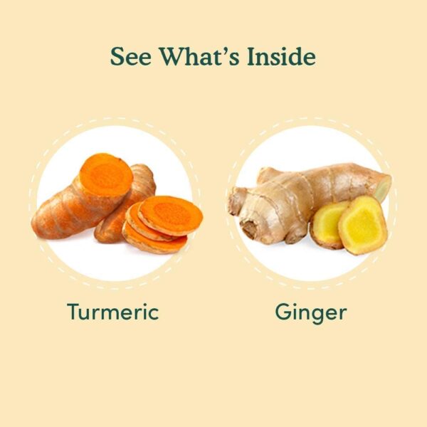 VAHDAM Turmeric Ginger Herbal Tea Bags (100 Count) - Image 2
