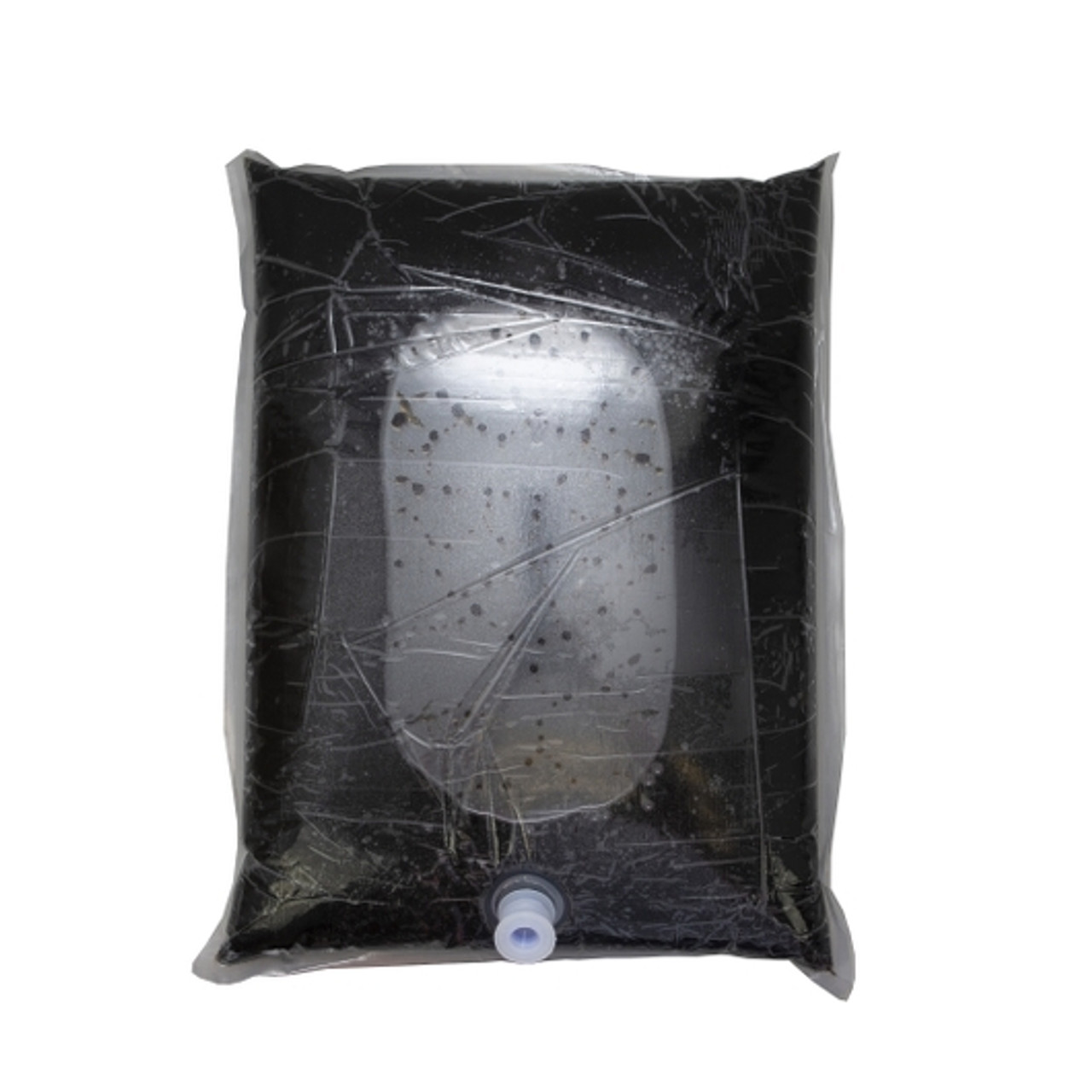 Boylan Bottling Bag-In-Box Original Birch Beer Soda, 5 Gallon