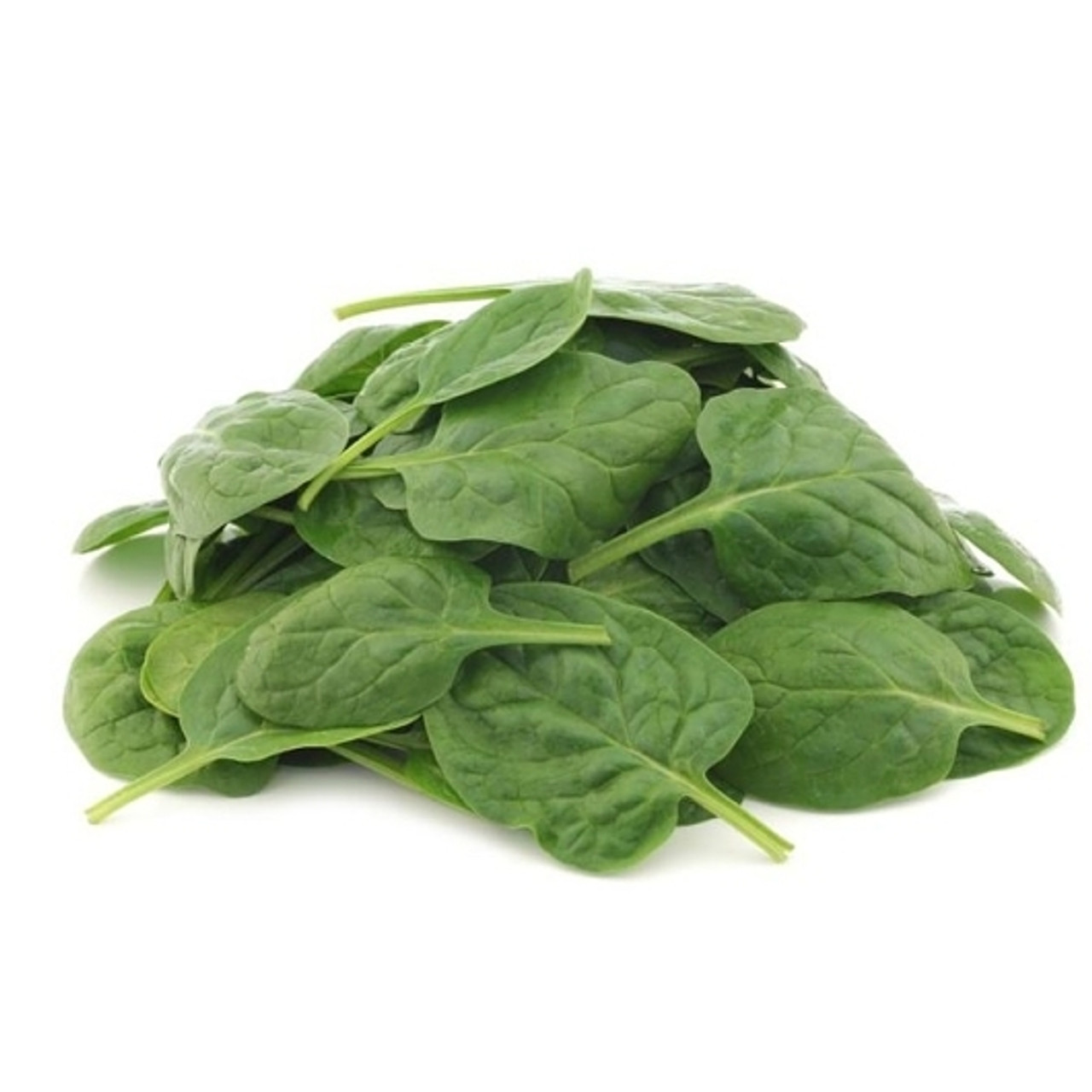 Commodity Canned Spinach Leaf, 10 Pound, 6 Per Case