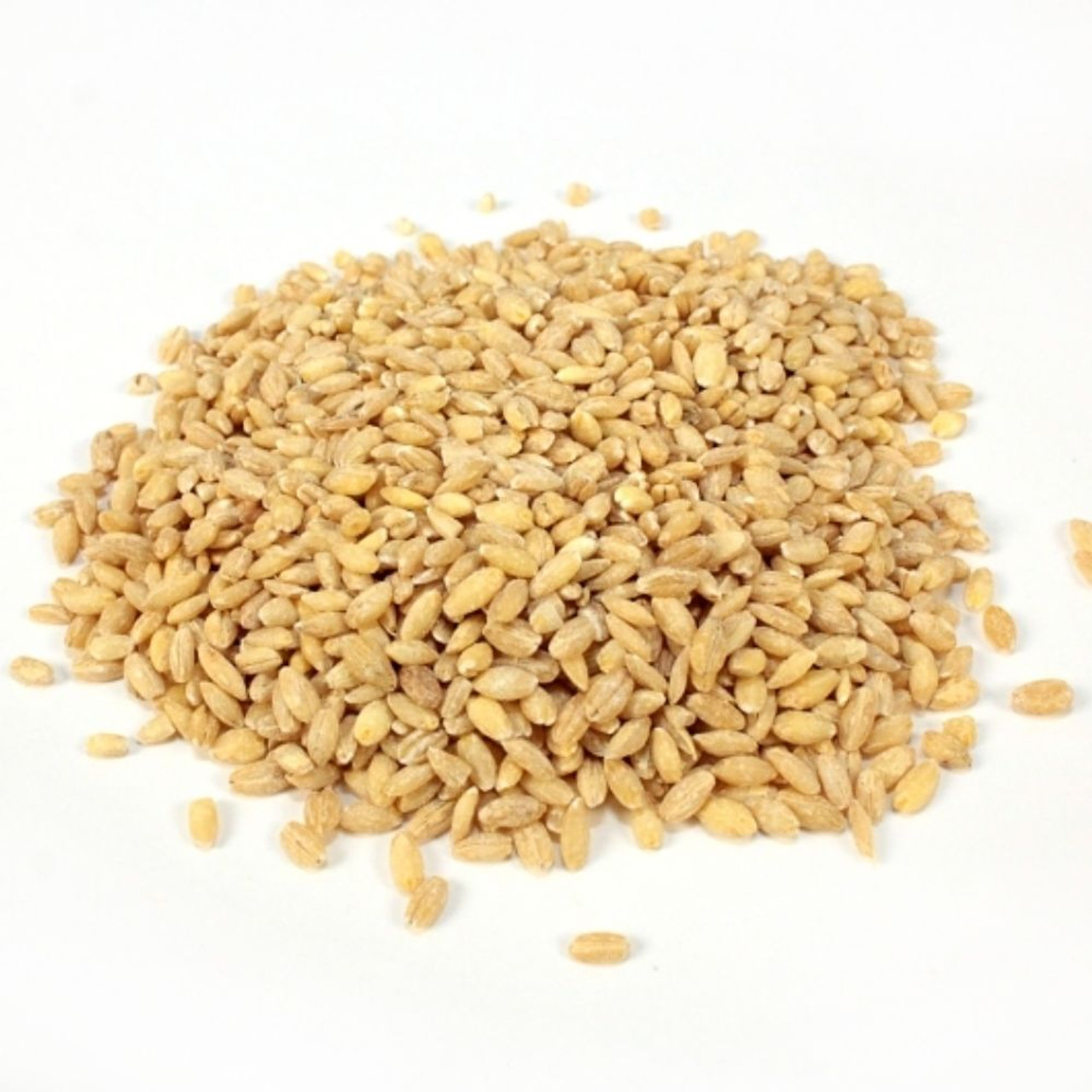 Commodity Beans Pearl Barley Bean, 25 Pounds