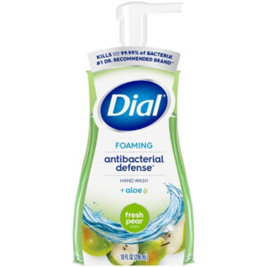 Dial Foaming Hand Wash Spring Water, 10 Fluid Ounce, 8 Per Case