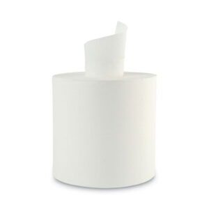 Center-pull Roll Towels, 2-ply, 8.9"w, 600/roll, 6/carton